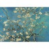 SUPERPOWER® 1000 Pièces Van Gogh Branches Dabricotier Renaissance Célèbre Peinture à lhuile Puzzles pour Créatif Maison Cad