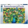 Ravensburger - Puzzle Adulte - Puzzle 2000 pièces - Le pays du paon - Adultes et enfants dès 14 ans - Puzzle de qualité premi