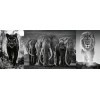 Ravensburger - Puzzle Adulte - Puzzle Triptyque1000 p - Panthère, éléphant, lion - 16729