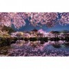 LHJOYSP Puzzle Adultes 1000 Pieces Lumières de la Ville veilleuses Printemps Fleurs de Cerisier Japonais 75x50cm