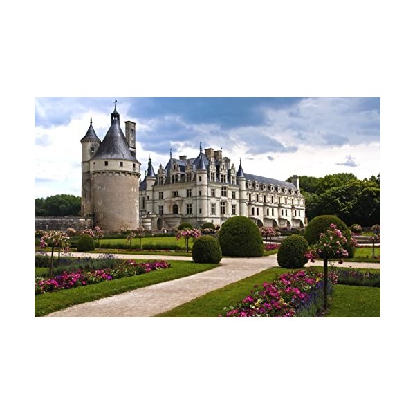 LHJOYSP Jeu educatif Maternelle Puzzle 1000 Pieces Ville France Chenonceau Château Edel et Loire 75x50cm