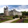 LHJOYSP Jeu educatif Maternelle Puzzle 1000 Pieces Ville France Chenonceau Château Edel et Loire 75x50cm