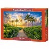 Castorland Puzzle 3000 pièces : Lever de Soleil coloré à Miami, USA