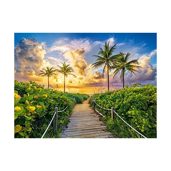 Castorland Puzzle 3000 pièces : Lever de Soleil coloré à Miami, USA