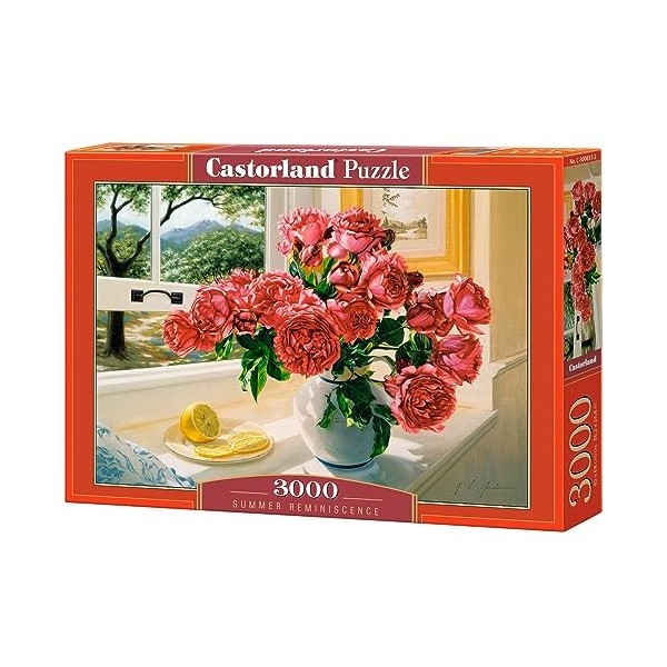 Castorland Puzzle 3000 pièces : Réminiscence dété