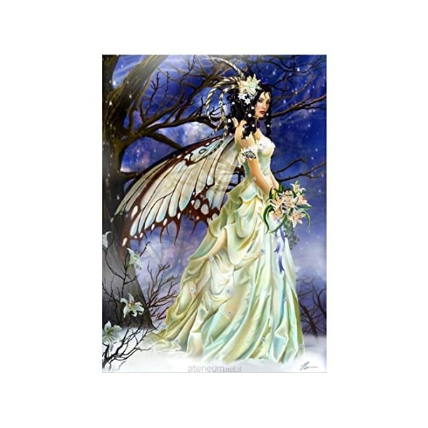 Puzzle 1000 pièces - Mist Bride