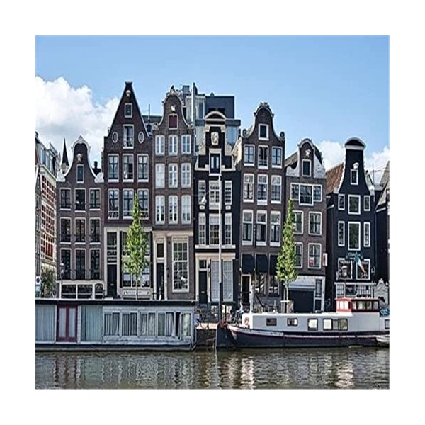 Puzzle grand format 300 pièces pour adultes - Belle architecture dAmsterdam - Chaque pièce est unique, la technologie Softcl