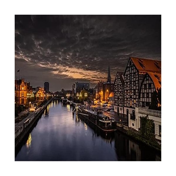 Puzzles 300 Pièces pour Adultes Femmes Hommes | Joli Aigle | Grands Puzzles de château Dur Difficiles en Carton de qualité su