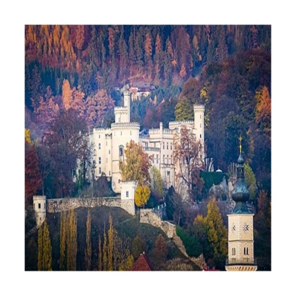 Puzzles pour Adultes Puzzle en Bois 300 Pièces - Cadeau Puzzle Belle Maison-52x38cm 23 * 15 Pouces 