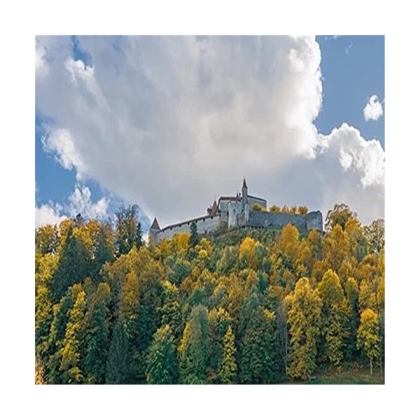 300 Pièces Puzzles pour Adolescents et Adultes Château dans Le lac Puzzle en Bois, Meilleur Cadeau pour Adultes et Enfants-52