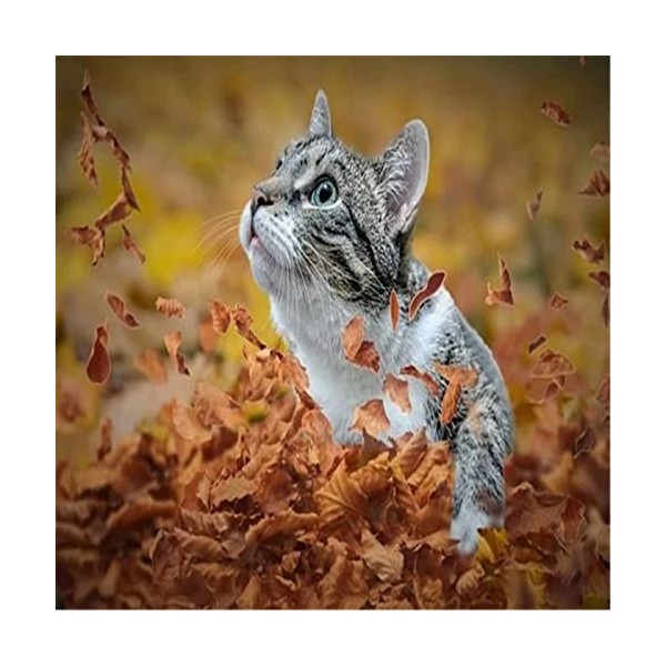 Puzzle 300 pièces pour Adultes et Adolescents - Puzzle Chat et Feuilles avec Affiche Pleine Grandeur - Amusant et Stimulant -