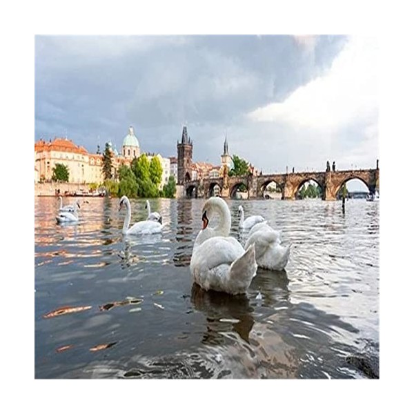 300 Pièces Puzzle Éducatif Puzzle Jeu De Famille Beau Cygne Cadeau pour Adultes Et Enfants-52x38cm 23 * 15 Pouces 