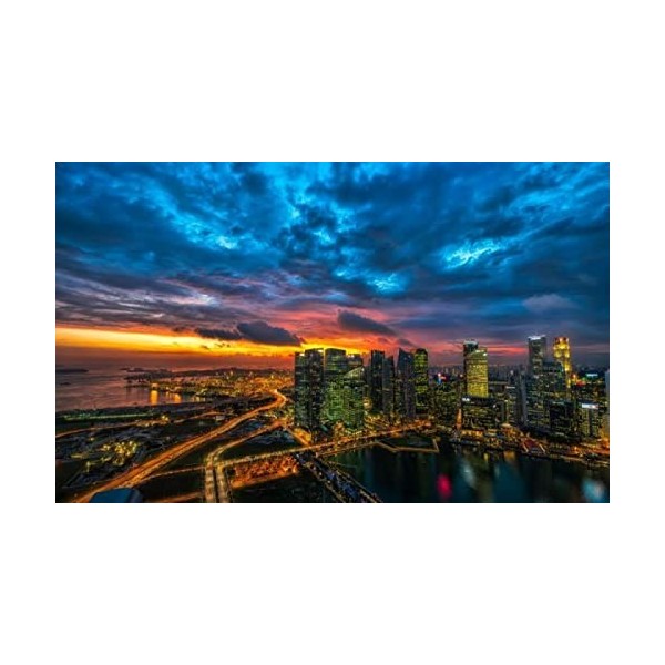 Puzzles Pour Adultes 1000 Pièces Puzzles Ronds De Perroquets D'Animaux