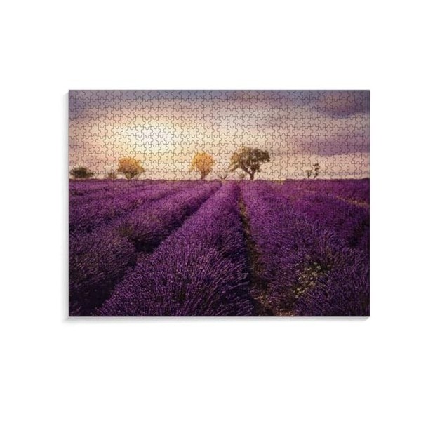 Puzzle 1000 Pieces Adultes Champs de Fleurs de Lavande en Violet Photographie Puzzle Adulte 1000 pièces Jeu éducatif défi Jou