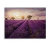 Puzzle 1000 Pieces Adultes Champs de Fleurs de Lavande en Violet Photographie Puzzle Adulte 1000 pièces Jeu éducatif défi Jou