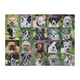 Galison 9780735369535 Rescue Dogs 1000 Piece Puzzle