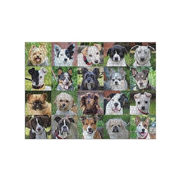 Galison 9780735369535 Rescue Dogs 1000 Piece Puzzle