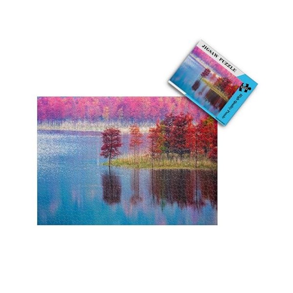 Puzzle Adulte 1000 Pièces Puzzle 3D Pierres sur leau Bricolage Moderne Art Mural Cadeau Unique Home Decor 26x38cm