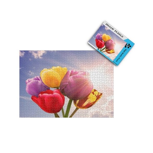 Puzzles pour Adultes 1000 pièces -Fleurs de Tulipes colorées - Puzzle pour Adultes Adolescents Jeu de Puzzle Jouet Cadeau 26x