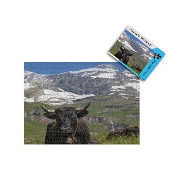 Puzzles pour Adultes 1000 pièces -Paysage de Montagnes enneigées et de Lacs Peinture - Puzzle pour Adultes Adolescents Jeu de