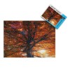 Puzzle 1000 pièces pour Adultes, 1000 pièces pour Enfants,Automne Arbre Feuilles Rouges au Soleil Difficiles Jeux pour Adulte