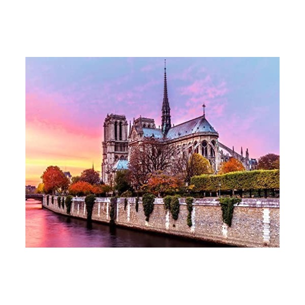 Ravensburger - Puzzle Adulte - Puzzle 1500 p - Pittoresque Notre-Dame - 16345