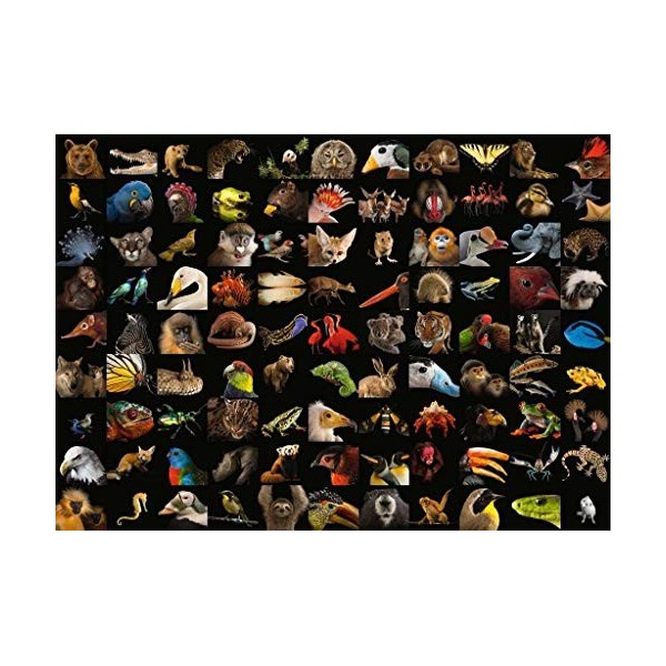 Ravensburger- Puzzle 1000 pièces 99 Animaux époustouflants National Geographic Natinal Gographic Adulte, 4005556159833, Néant