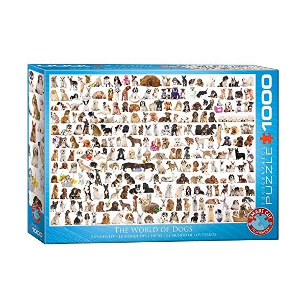 Eurographics Puzzle 6000-0581.