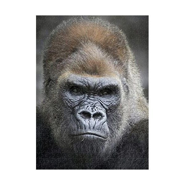 Puzzle en Bois de 500 pièces Gorilla Challenge Jigsaw Puzzle