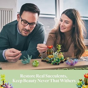 Sillbird Jouets de construction pour bonsaï succulents, construisez un bonsaï fleurs pour décoration dintérieur, ensemble de