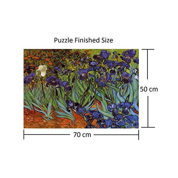 Deerbird Puzzle 1000 pièces Van Gogh : Irises - Série célèbre peinture - Puzzles de qualité 1000 pièces pour adultes et adole