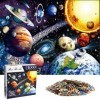 SHINROAD Lot de 1000 puzzles neuf planètes, jouets éducatifs, cadeaux pour développement intellectuel, pour adultes et enfant