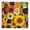 Galison 9780735374904 Sunflower Blooms Jigsaw Puzzle, Multicoloured, 500 Pieces