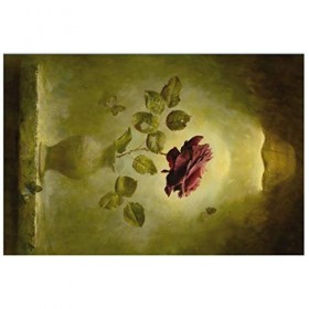 XJDMM Puzzle Adulte, 1000 Pièces De Puzzle, Protection De lenvironnement en Bois, Défi Intellectuel, Pensée Dentraînement S