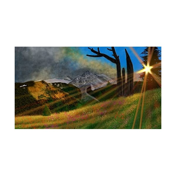 KMszsm Puzzle 500 pièces Peinture numérique Ciel coucher de soleil Puzzle et jeu amusant, le meilleur pour la famille et les 