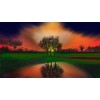 KMszsm Puzzle 500 pièces Peinture numérique Ciel coucher de soleil Puzzle et jeu amusant, le meilleur pour la famille et les 