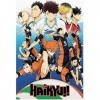 Puzzles Puzzles pour Enfants 1000 pièces Japan Anime Haikyuu!! Volley-Ball Garçon Anime Puzzles