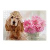 Puzzles 1000 pièces pour Adultes – Cocker Anglais Chien Fleur 26 x 38 cm