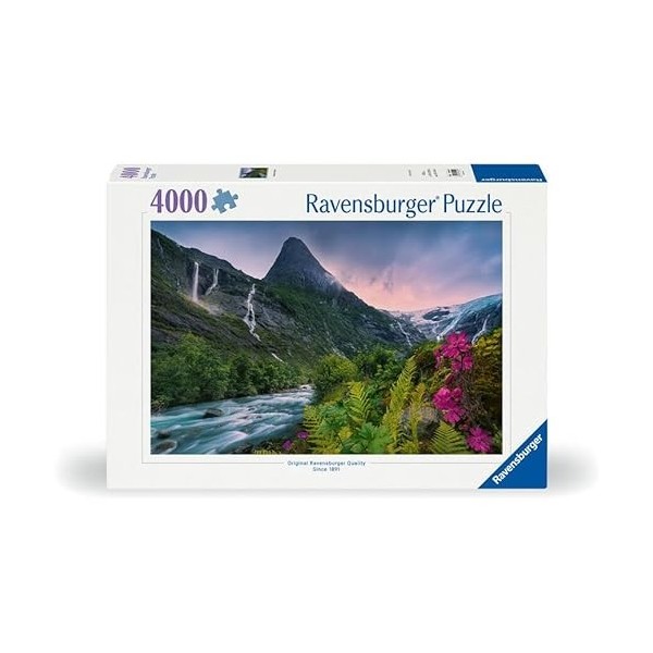 Ravensburger 12000811-Superbe Ambiance de Montagne-Puzzle de 4000 pièces pour Adultes à partir de 14 Ans, 12000811