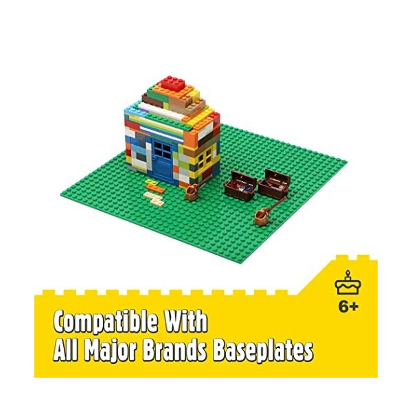 Etarnfly Classic Set de Briques, 573 pièces Basic Building Block Bricks Set avec des Accessoires pour largent et Les Bijoux,