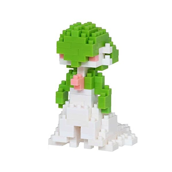 Nanoblock NBPM_062 Kit de construction Pokémon Groudon