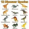 Prextex Assortiment de 12 Grands Dinosaures Figurines Réalistes - Dinosaure Jouet 25 cm en Plastique T-Rex et Autres Familles