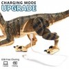 deAO Jouet Dinosaure télécommandé Rechargeable pour et Enfants avec Fonction de Marche et Sons et lumières rugissants, Robot 