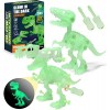 STAY GENT Démontage Jouet Dinosaure pour Enfants avec Perceuse Électrique, 4 Packs DIY Éducatif STEM Jouet, Construction Anni