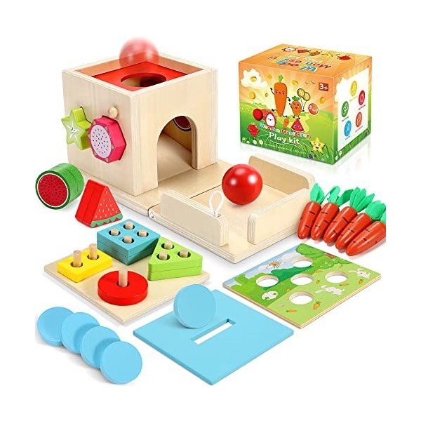 COOLJOY 5 en 1 Jeux Montessori | Jouet de Chute de Balle, Boîte à Pièces, Jouet de Récolte de Carottes, Sensoriels Trieurs | 