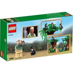 LEGO 40530 Hommage à Jane Goodall