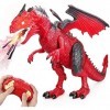 Baztoy Dinosaure Telecommandé, Dinosaure Enfant Jouet avec Marche Rugissement Pulvérisation Fonction Figurine Animaux Dragon 