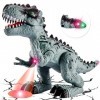 TOEY PLAY Dinosaure Jouet Enfant 3 4 5 6 Ans, Marche Dinosaures Electrique avec Lumière et Son, T-Rex Figurine Dino, Éducatif