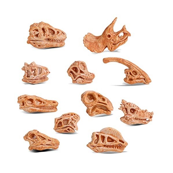 cobee Mini Squelette de Tête de Dinosaure, 11PCS Dino Bones Playset Figurines Fossil de Dinosaure pour Sandbox Dino Tête Figu