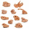 cobee Mini Squelette de Tête de Dinosaure, 11PCS Dino Bones Playset Figurines Fossil de Dinosaure pour Sandbox Dino Tête Figu